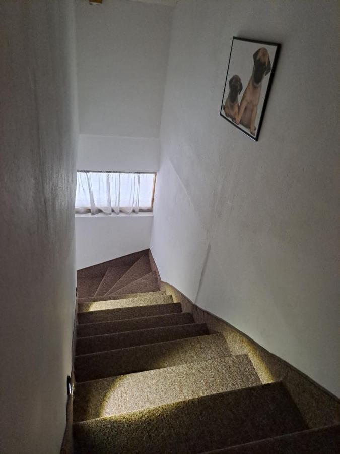 Sofi Apartman Ni Kültér fotó